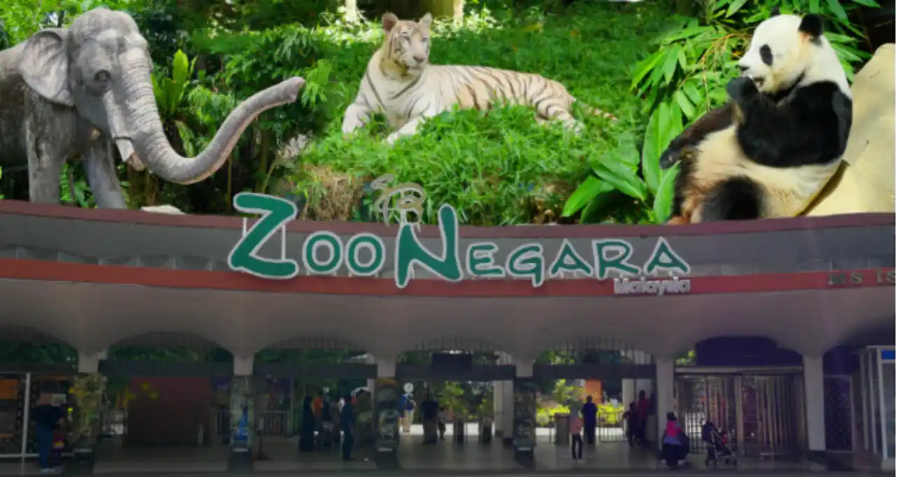 bookmaxicab top 10 places kl zoo